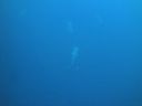 DSC00478.JPG