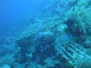 DSC00034.JPG