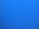 DSC00093.JPG