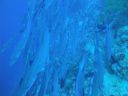 DSC00095.JPG