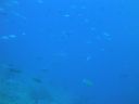 DSC00124.JPG