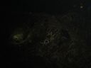 DSC00249.JPG