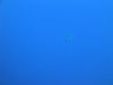 DSC00383.JPG