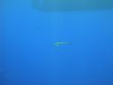 DSC00419.JPG