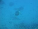 DSC00473.JPG