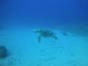 DSC00477.JPG