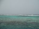DSC00673.JPG