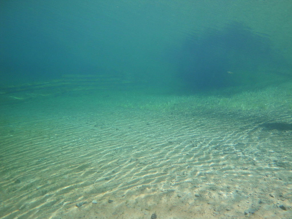 DSC00065~5.JPG