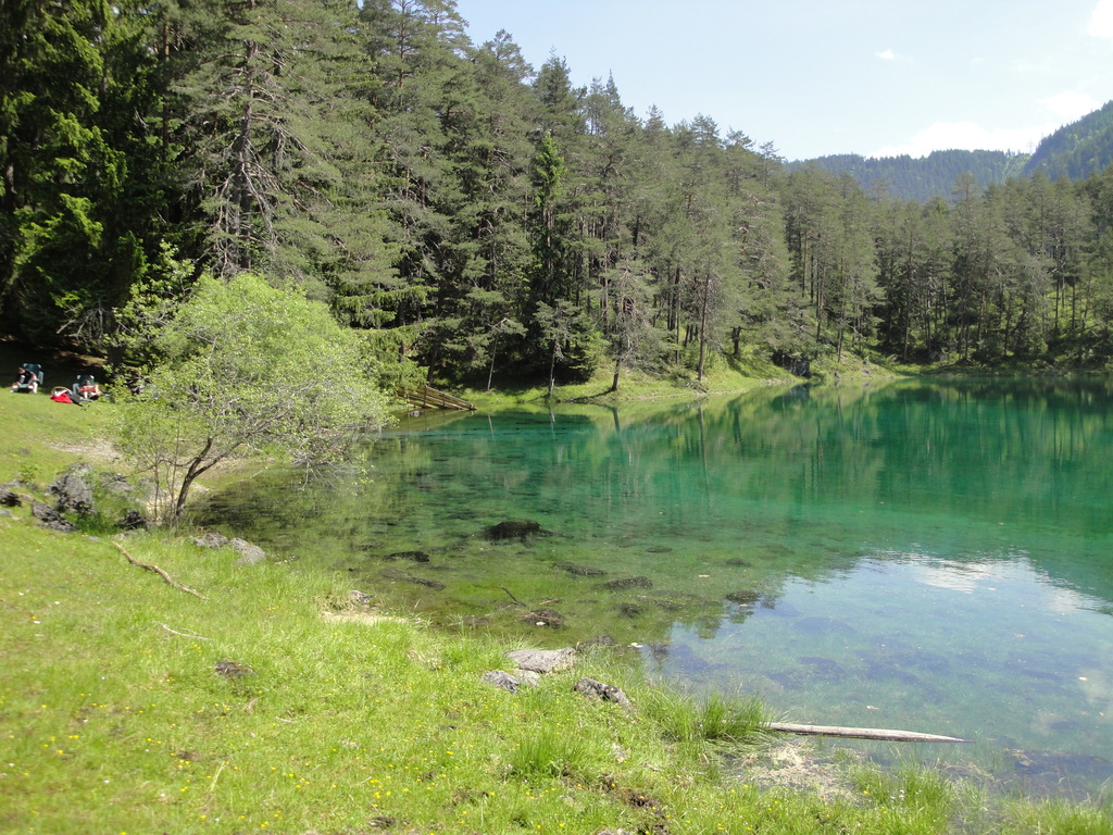 DSC00071~5.JPG