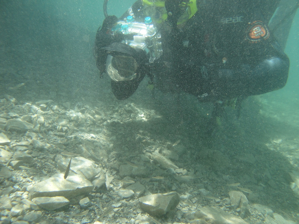 DSC00321~0.JPG