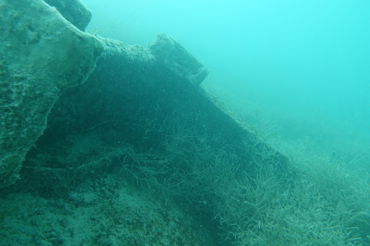 DSC00410~0.JPG