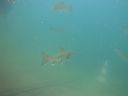DSC00003~6.JPG