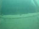 DSC00004~4.JPG