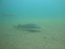 DSC00012~6.JPG