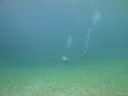 DSC00018~4.JPG