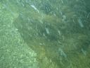 DSC00020~2.JPG