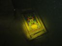 DSC00022~1.JPG
