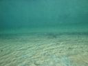 DSC00060~5.JPG