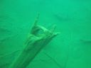 DSC00219~0.JPG