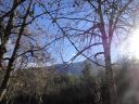 DSC00245~0.JPG
