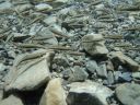 DSC00285~0.JPG