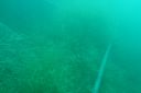 DSC00416~0.JPG