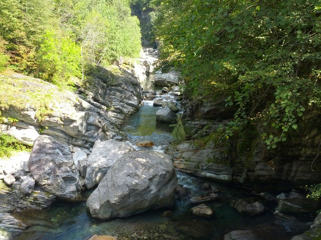 DSC00178_4.jpg